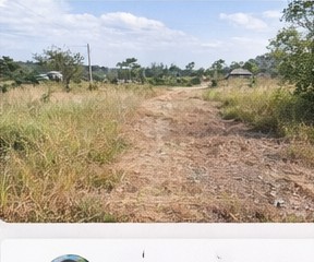 Access road to the property